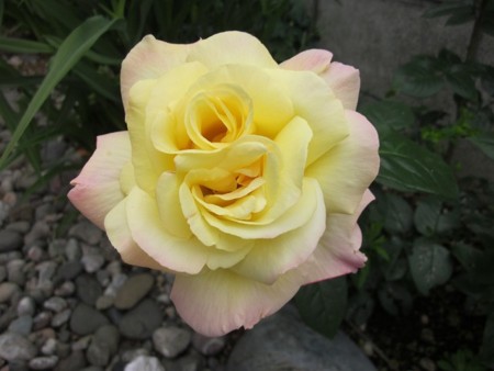 f:id:hahaten:20140619223932j:image:w200