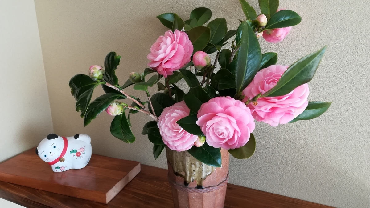 f:id:hahatonokurashijournal:20190318165302j:plain f:id:hahatonokurashijournal:20190318165302j:plain