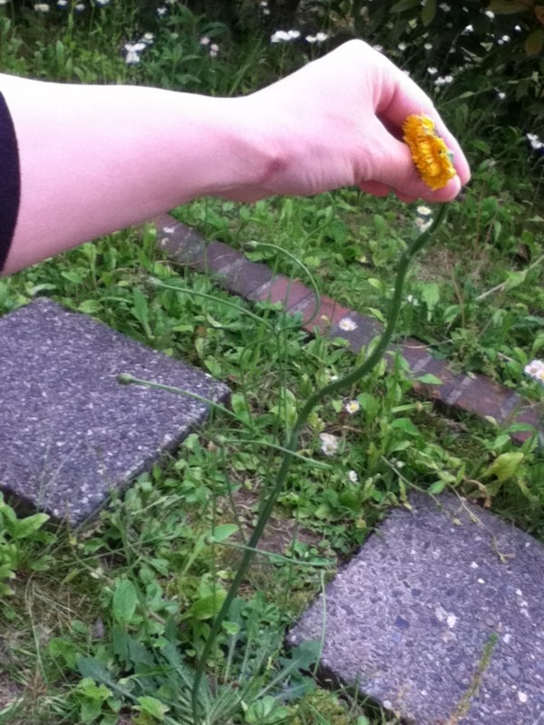 f:id:hahauesama:20120525072347j:image