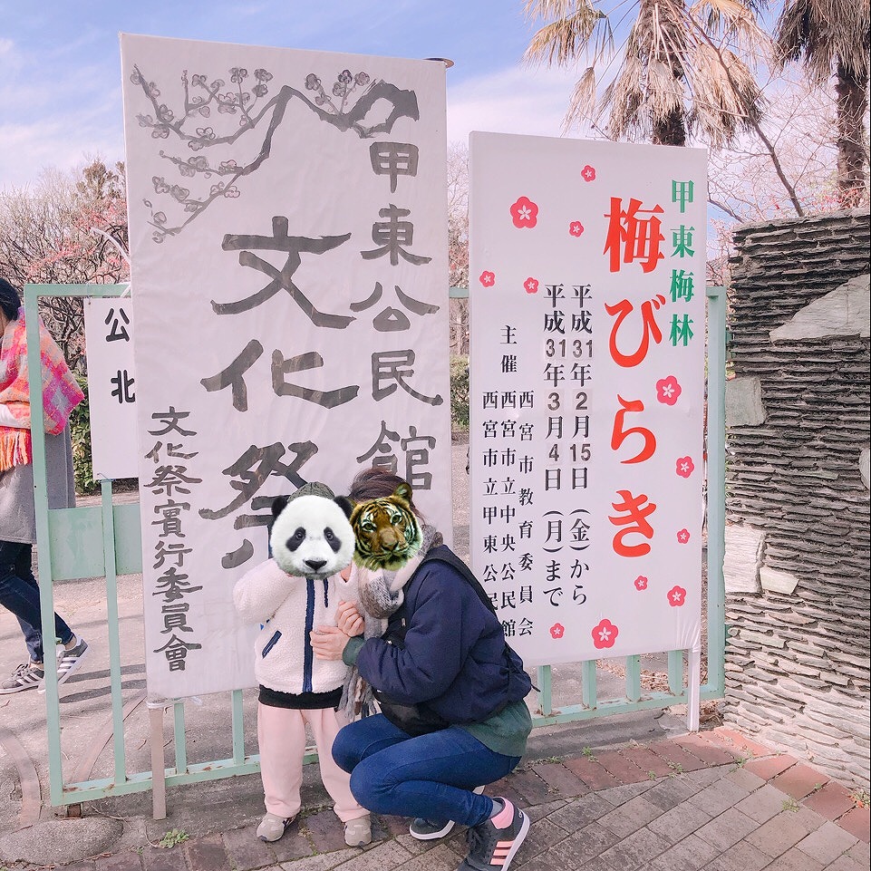 f:id:hahema:20190225000011j:plain