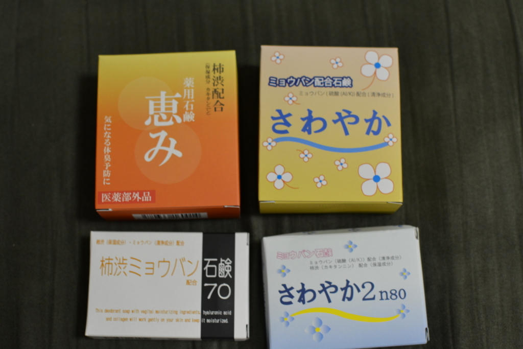 f:id:haibisukasusan:20170723095032j:plain