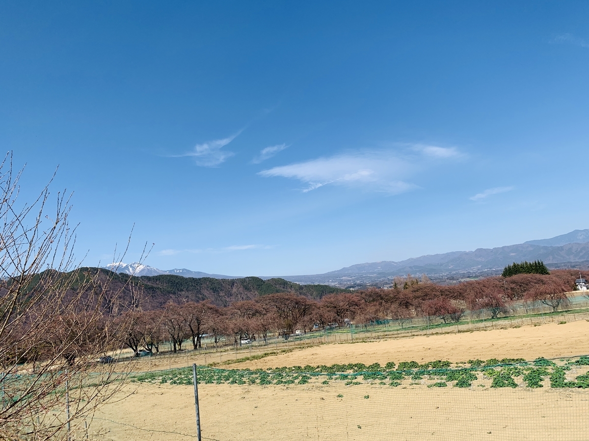 f:id:haidimama:20190405211650j:plain
