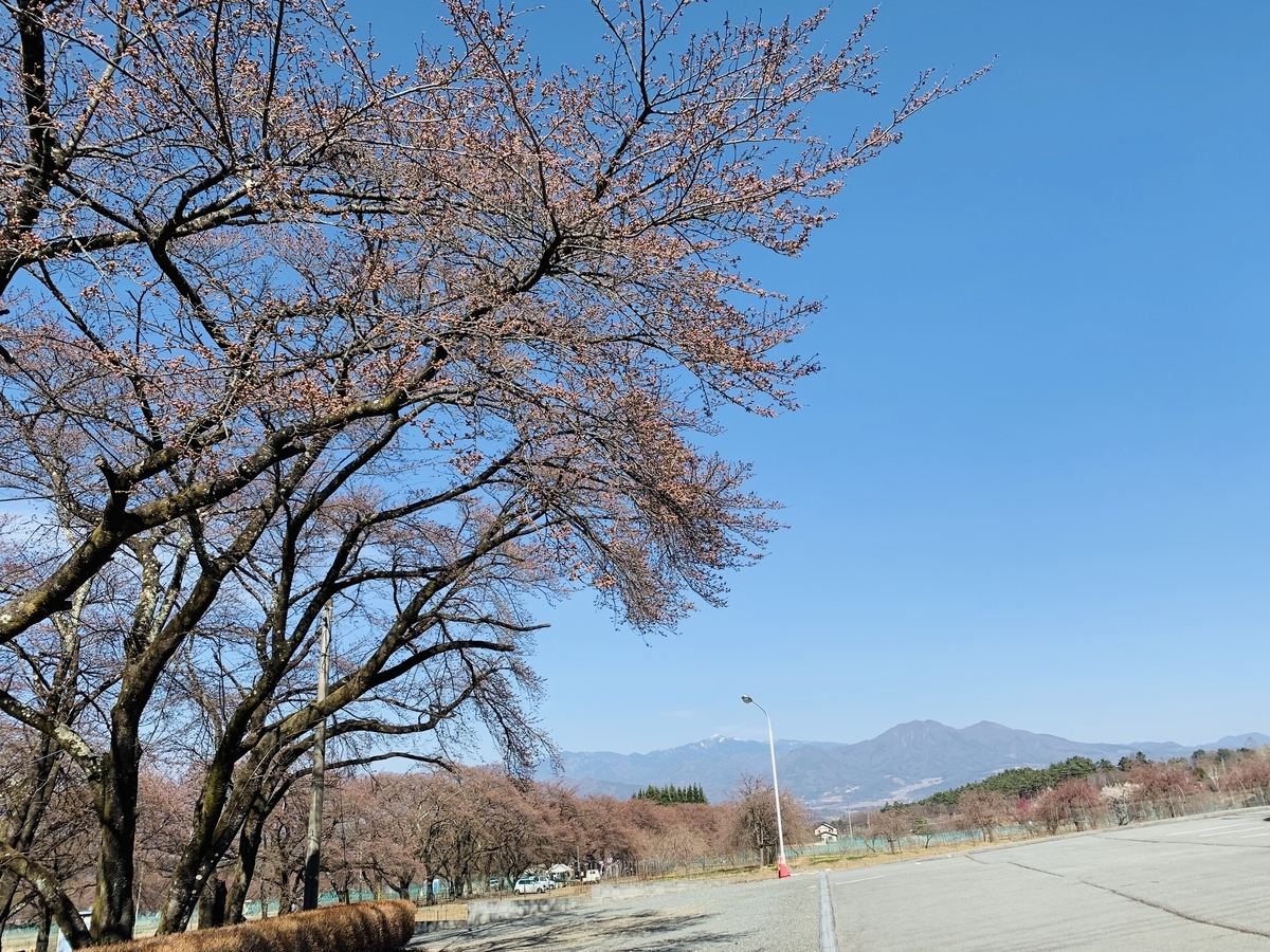 f:id:haidimama:20190405211747j:plain