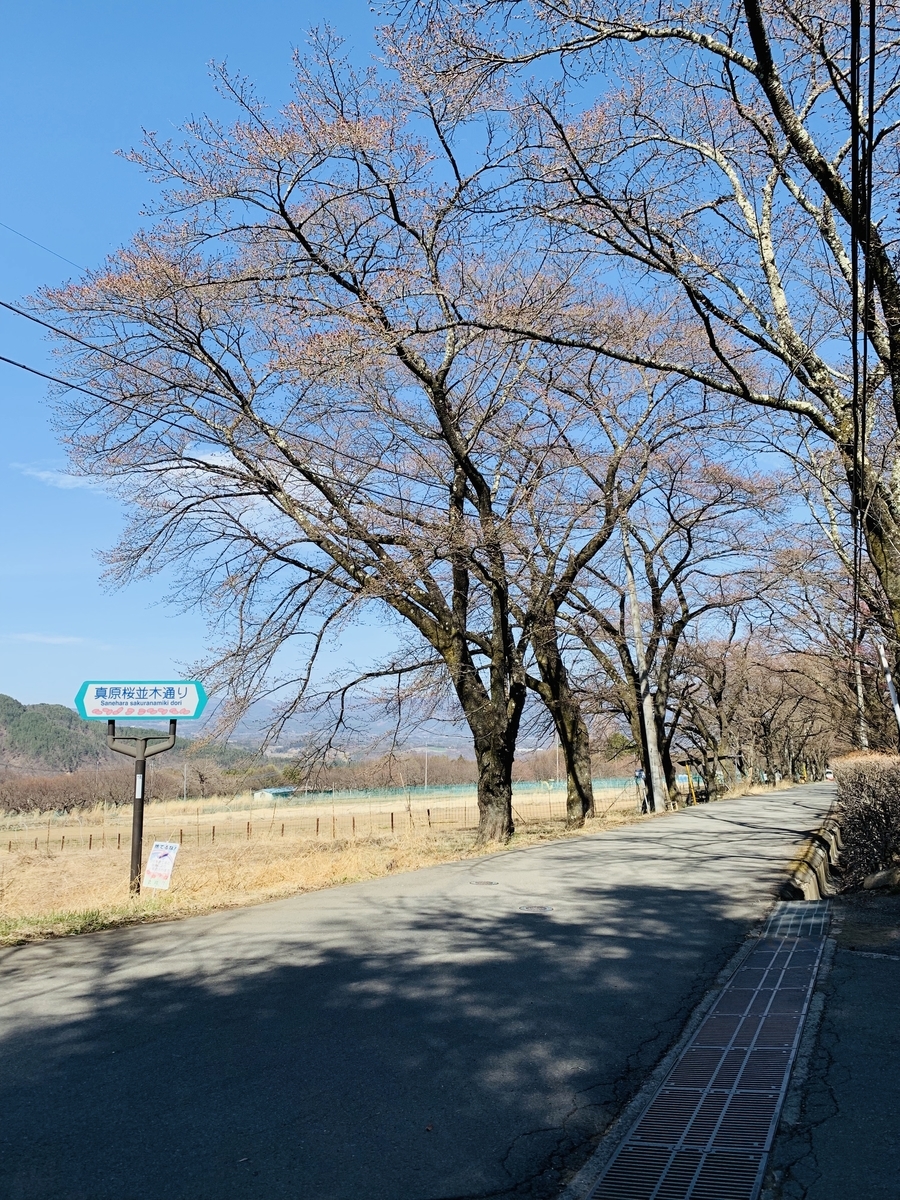f:id:haidimama:20190405211907j:plain