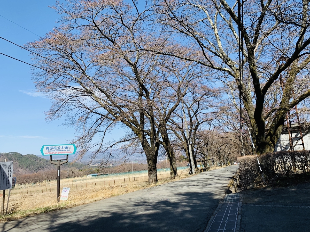 f:id:haidimama:20190405211921j:plain