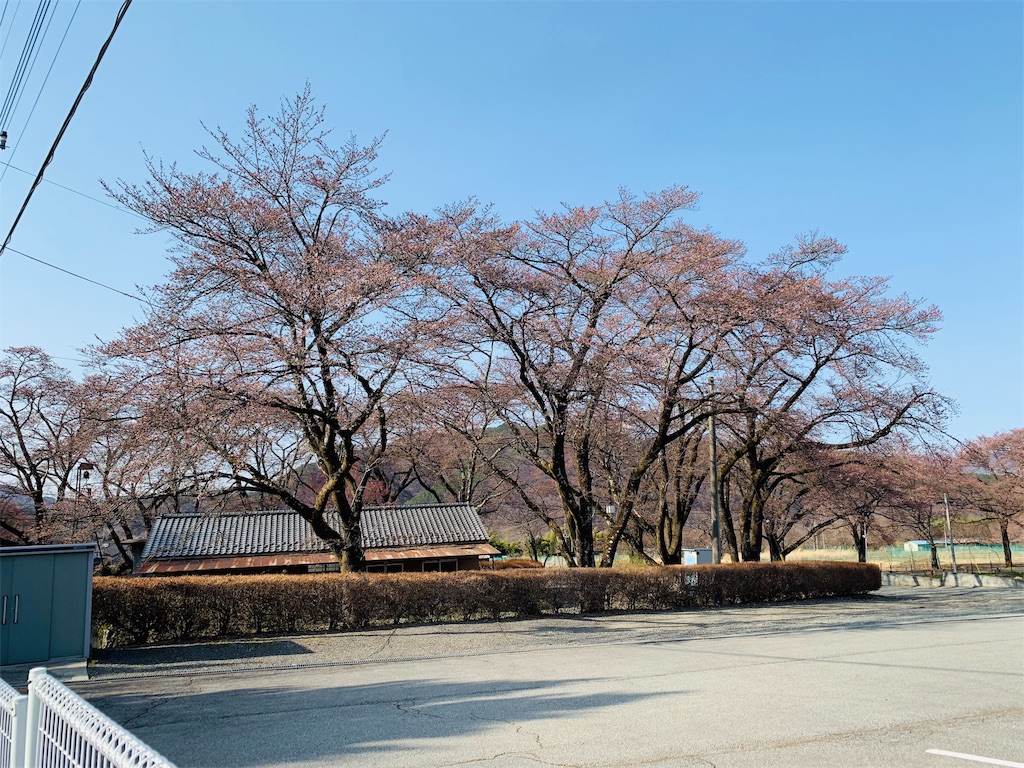 f:id:haidimama:20190406163107j:image