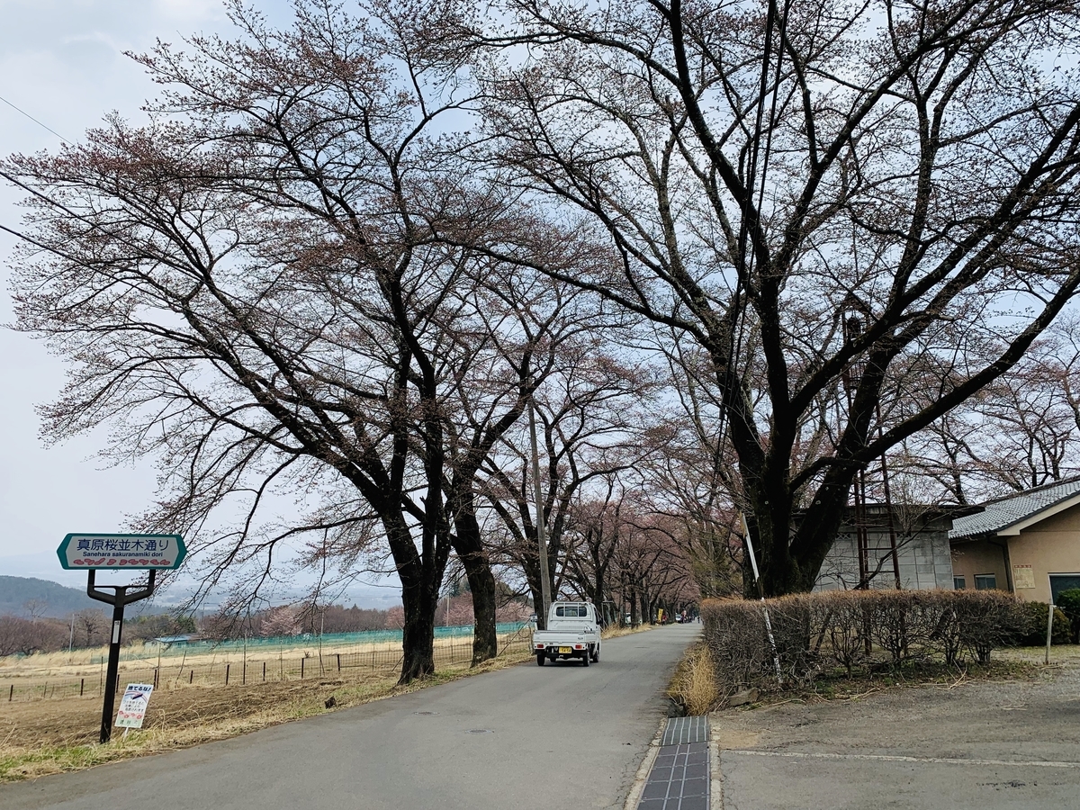 f:id:haidimama:20190407235154j:plain