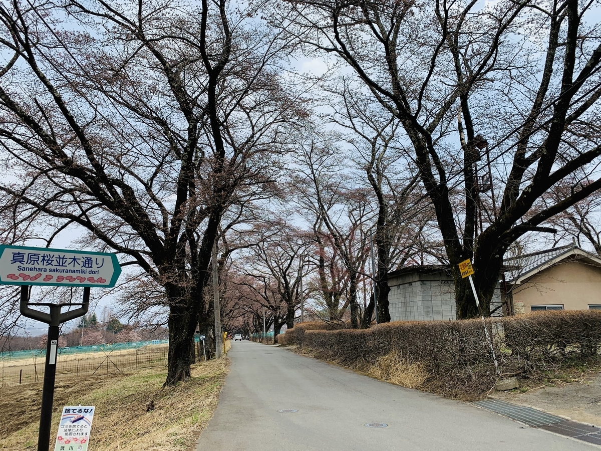 f:id:haidimama:20190407235209j:plain