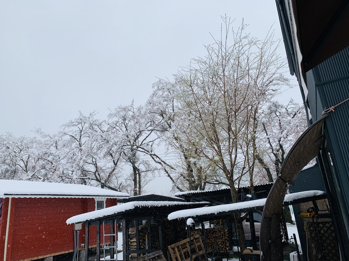f:id:haidimama:20190410221853j:plain