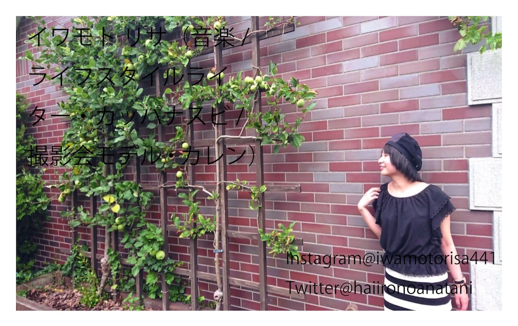 f:id:haiironoanatani:20190830102209j:image