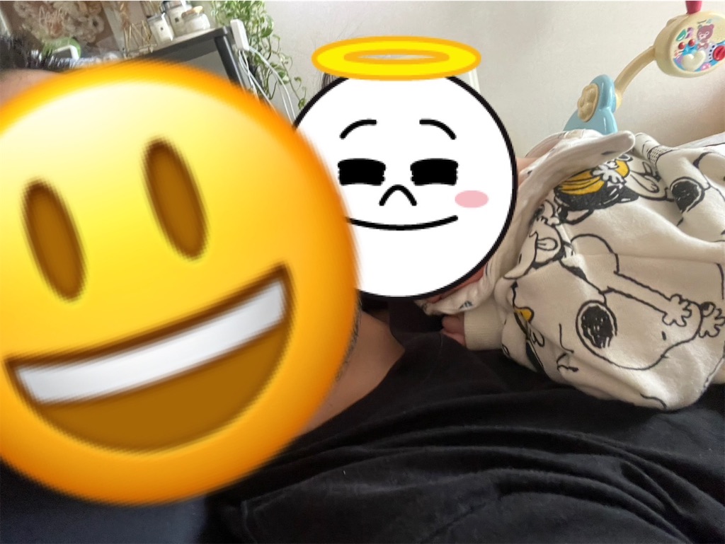 f:id:haiji_ttt:20250316161307j:image