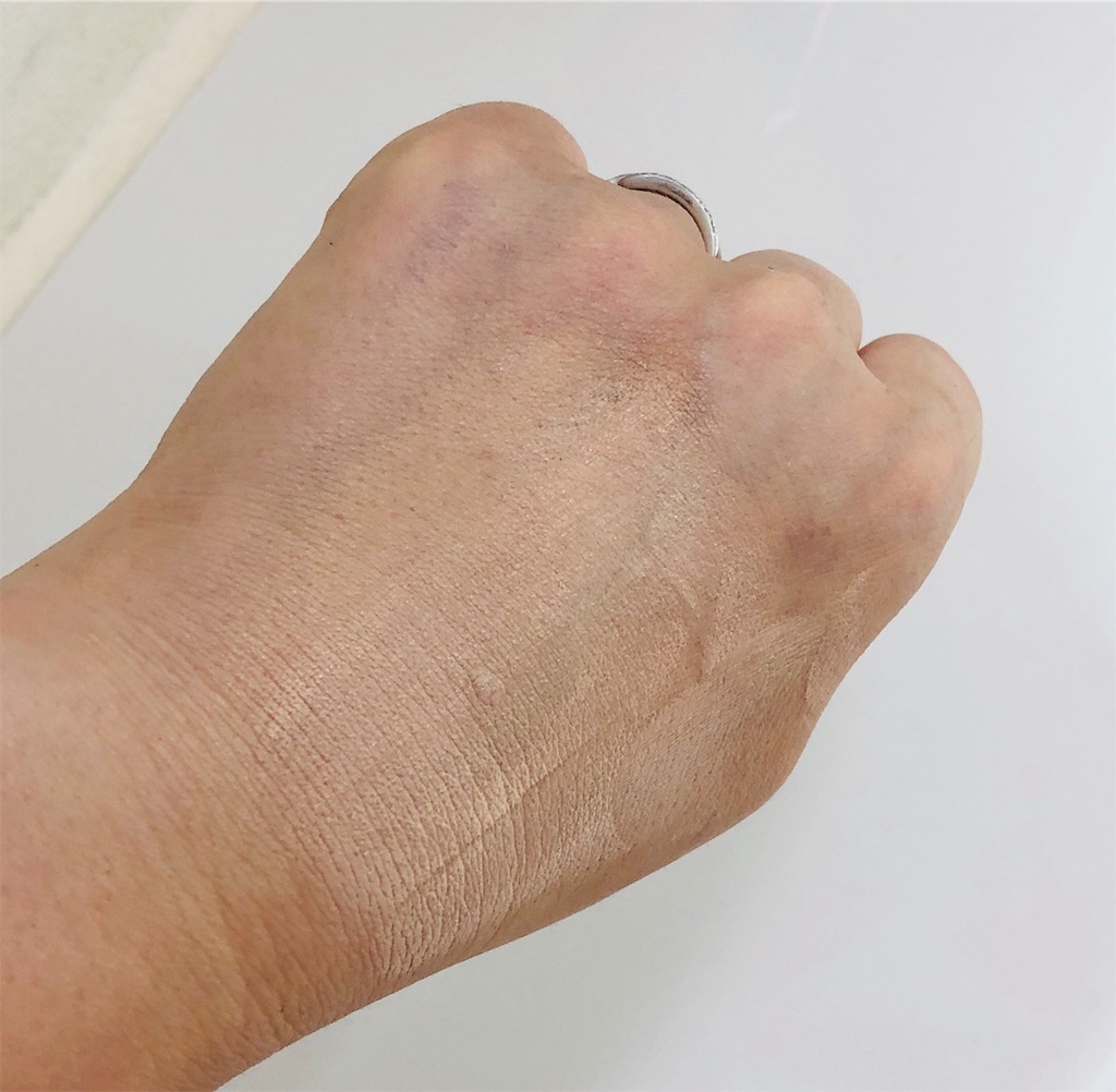 f:id:haijimama:20190618150726j:image