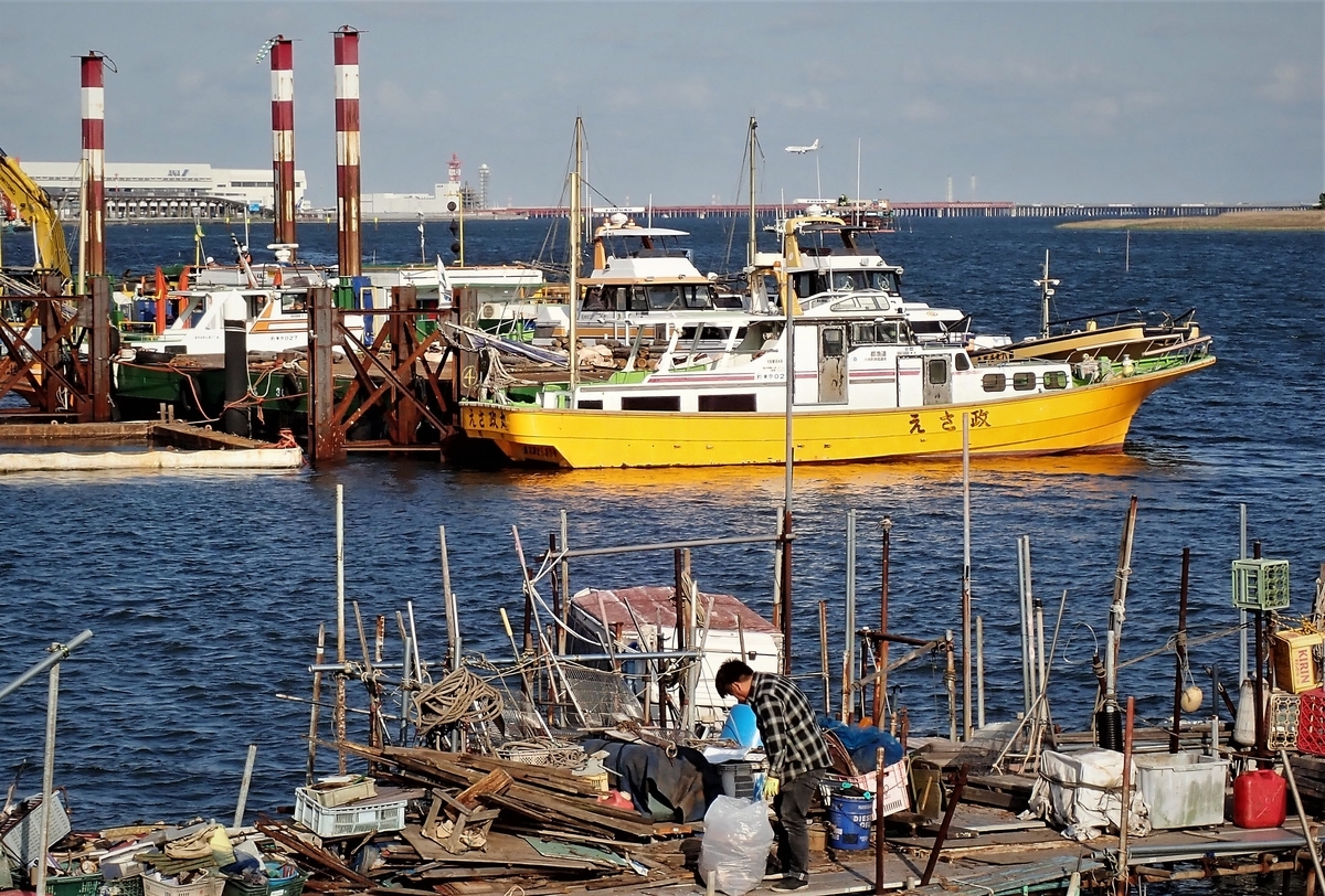 f:id:haikaiikite:20190524134954j:plain f:id:haikaiikite:20190524134954j:plain