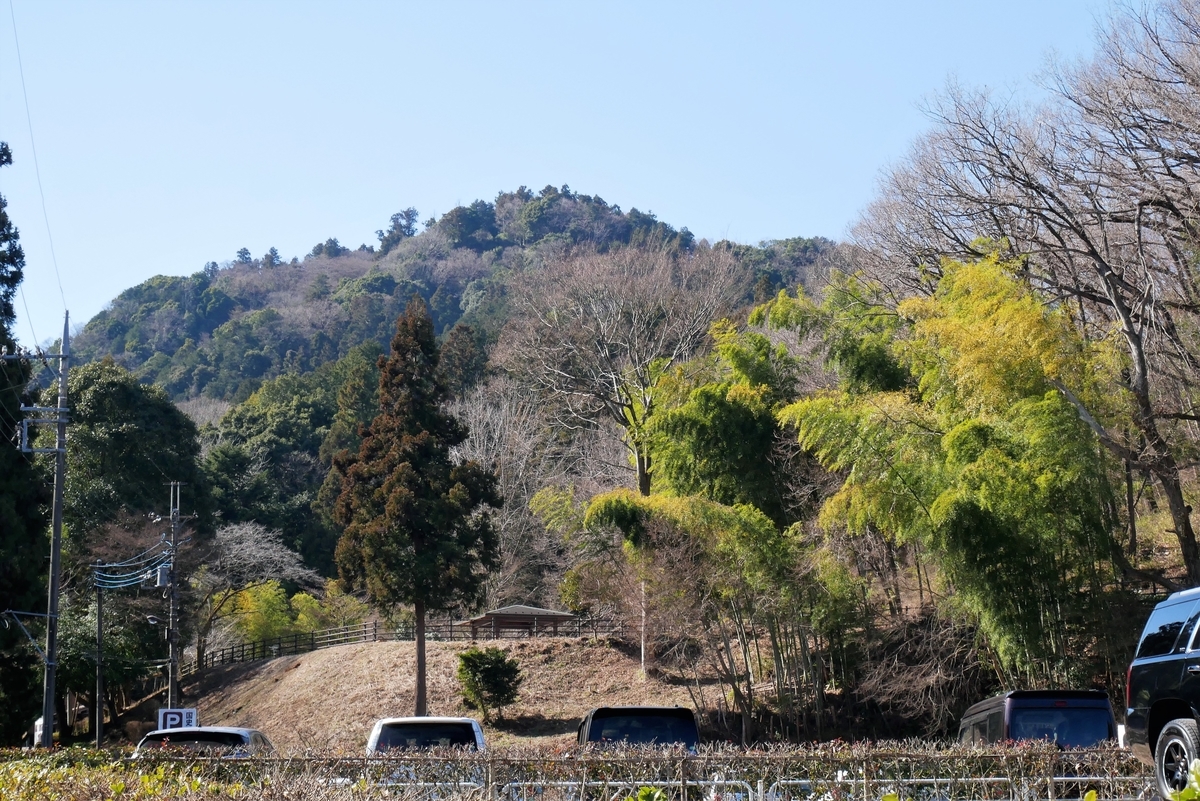 f:id:haikaiikite:20200414164951j:plain