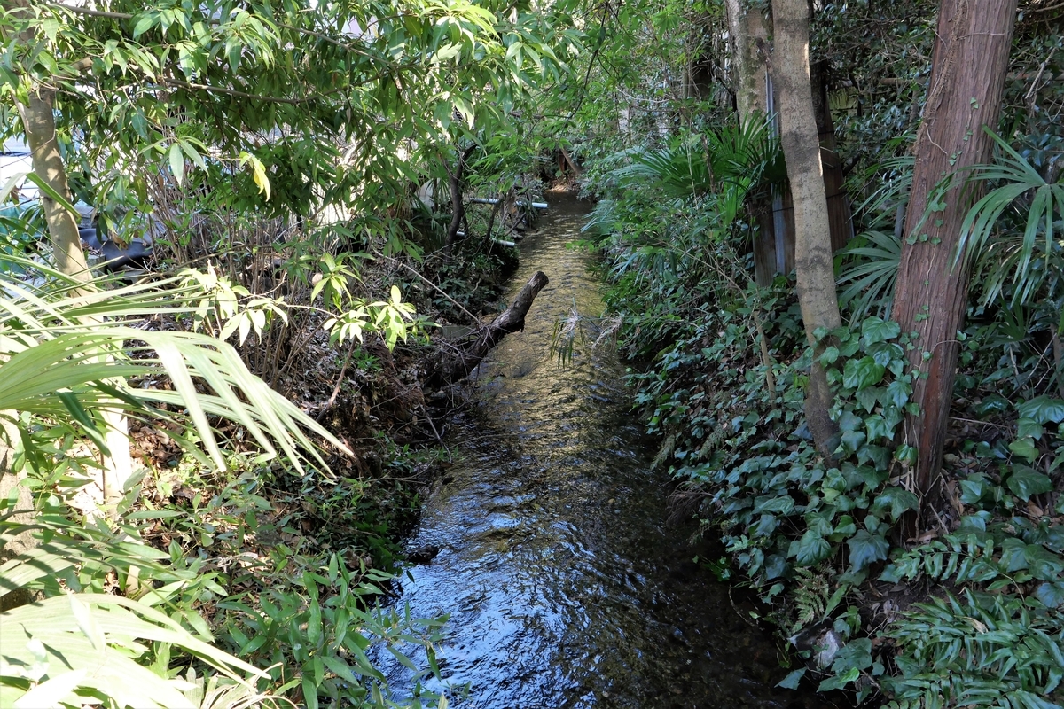 f:id:haikaiikite:20210204174855j:plain