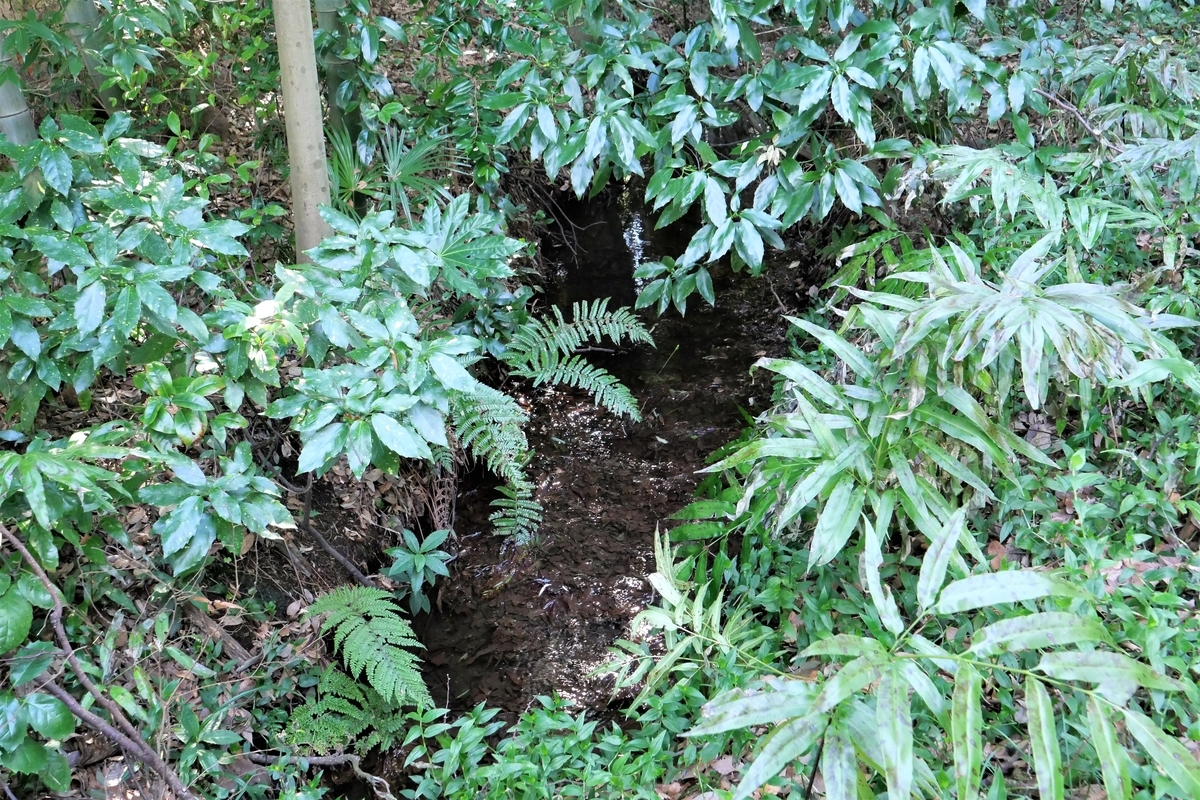 f:id:haikaiikite:20210206181210j:plain