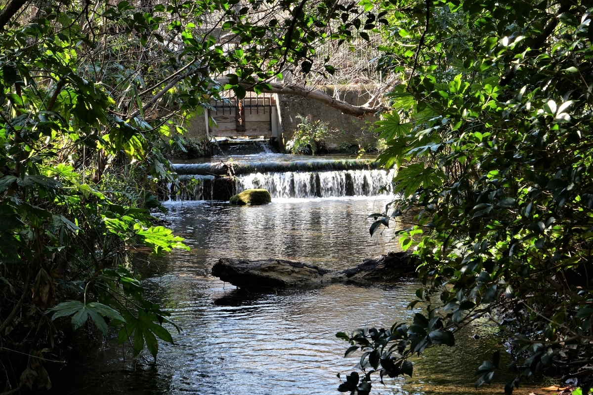 f:id:haikaiikite:20210206220641j:plain