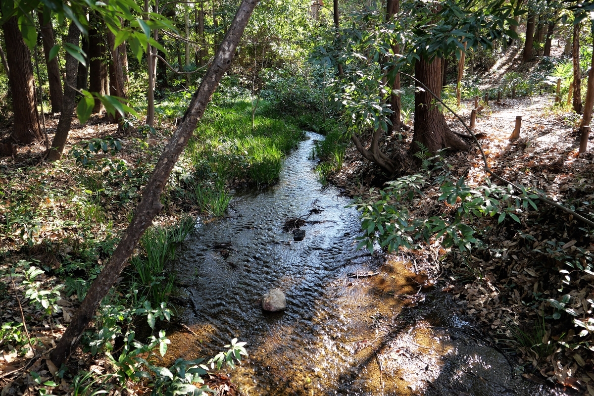 f:id:haikaiikite:20210206220849j:plain