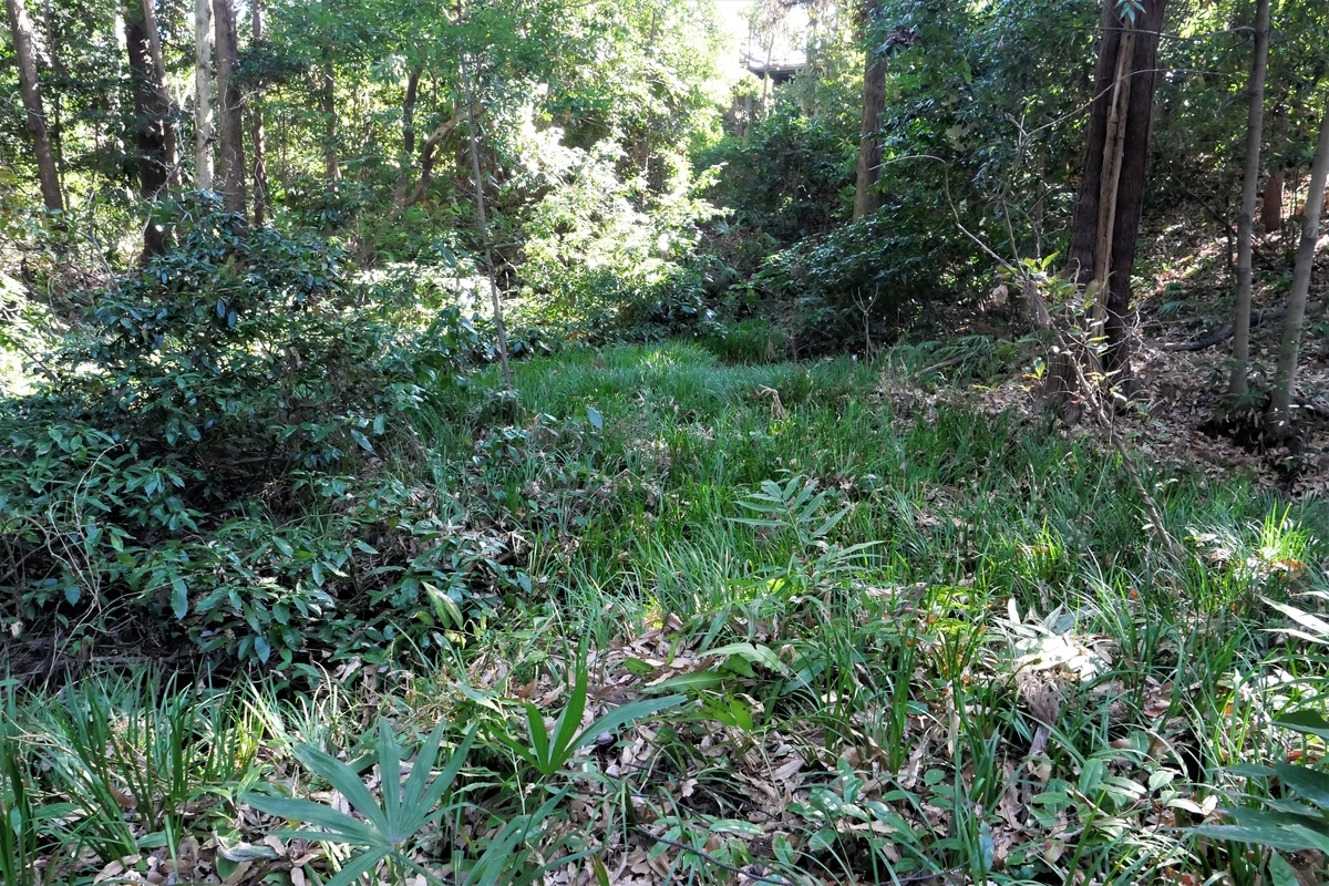 f:id:haikaiikite:20210206220941j:plain