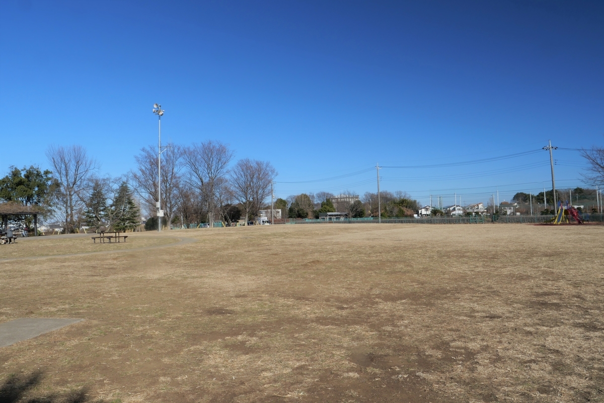 f:id:haikaiikite:20210206221608j:plain