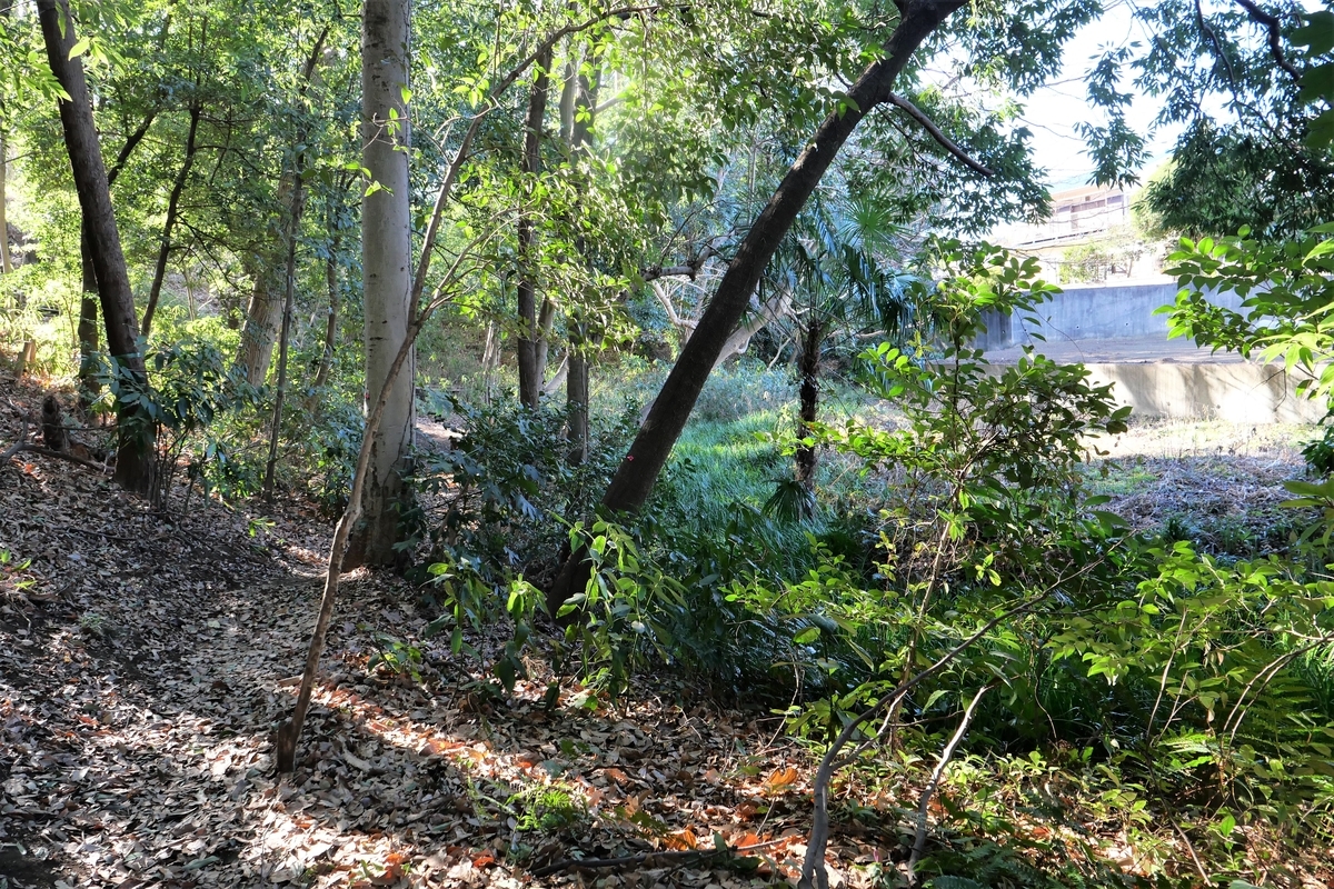 f:id:haikaiikite:20210206223524j:plain