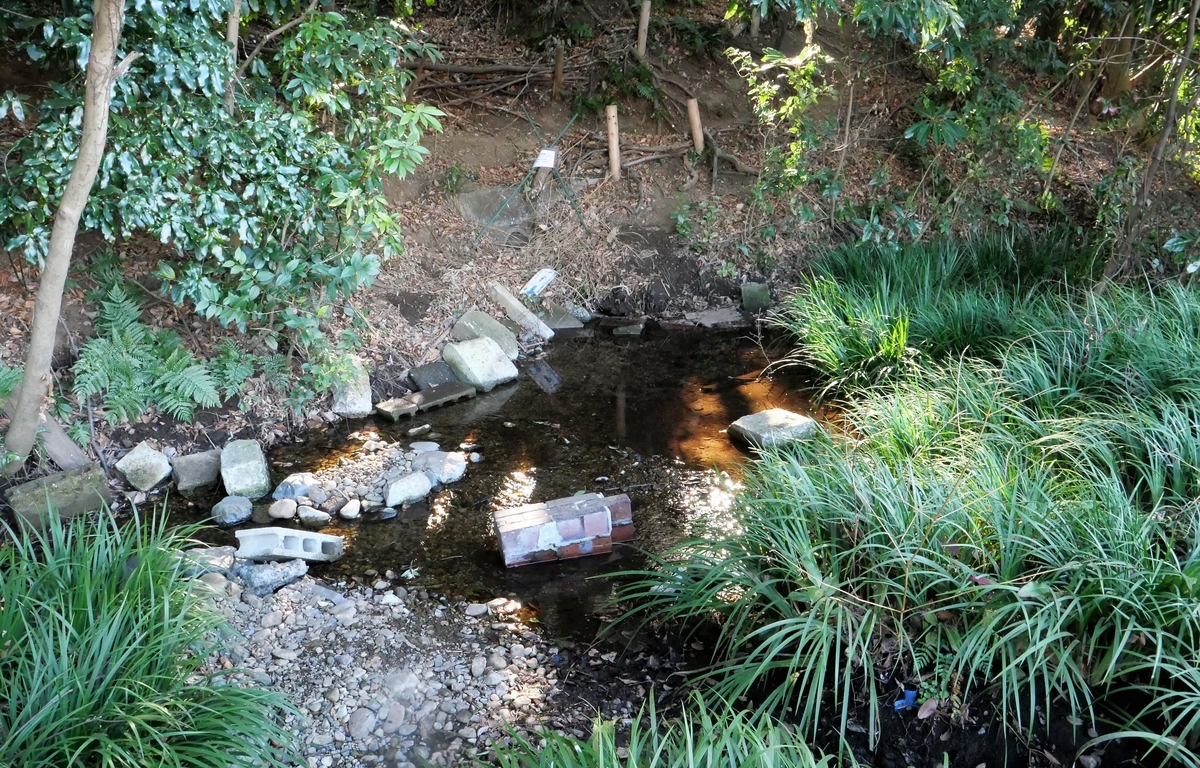 f:id:haikaiikite:20210206223908j:plain