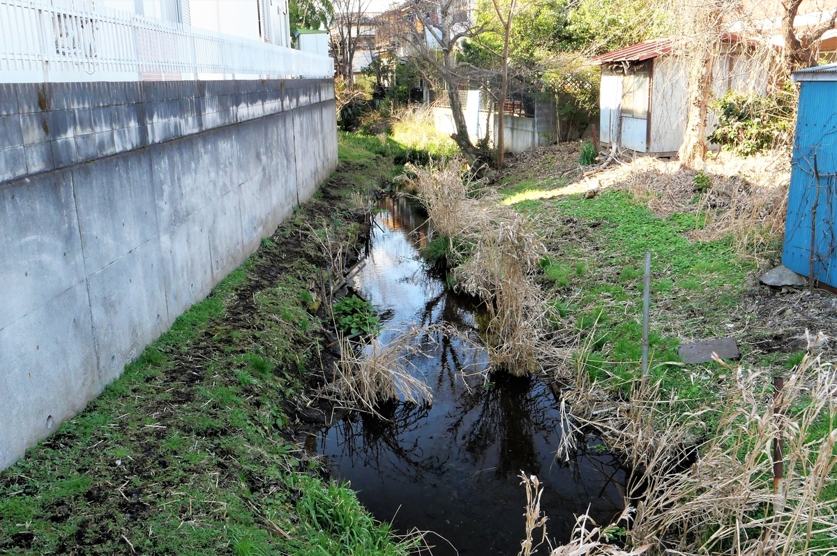 f:id:haikaiikite:20210206224204j:plain