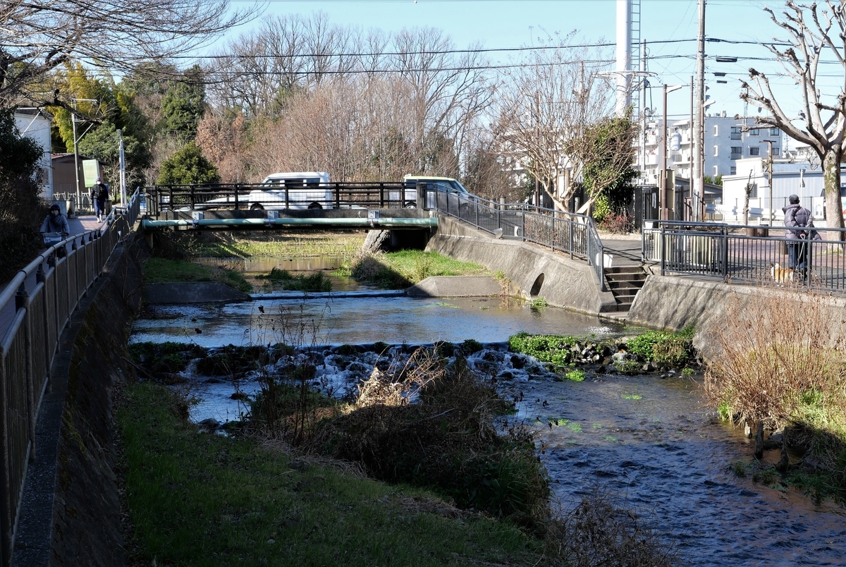 f:id:haikaiikite:20210206224410j:plain