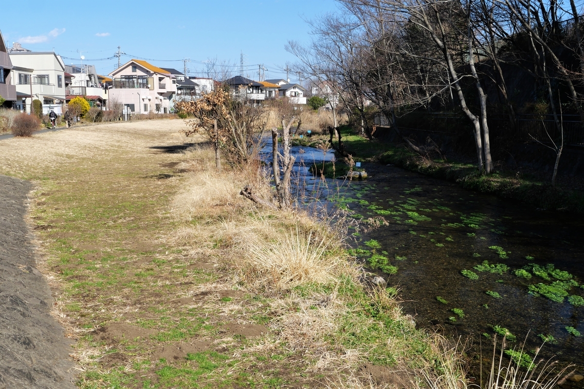 f:id:haikaiikite:20210206224625j:plain