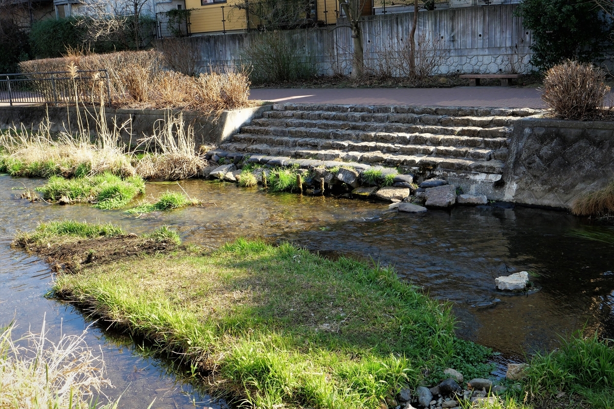 f:id:haikaiikite:20210206224824j:plain