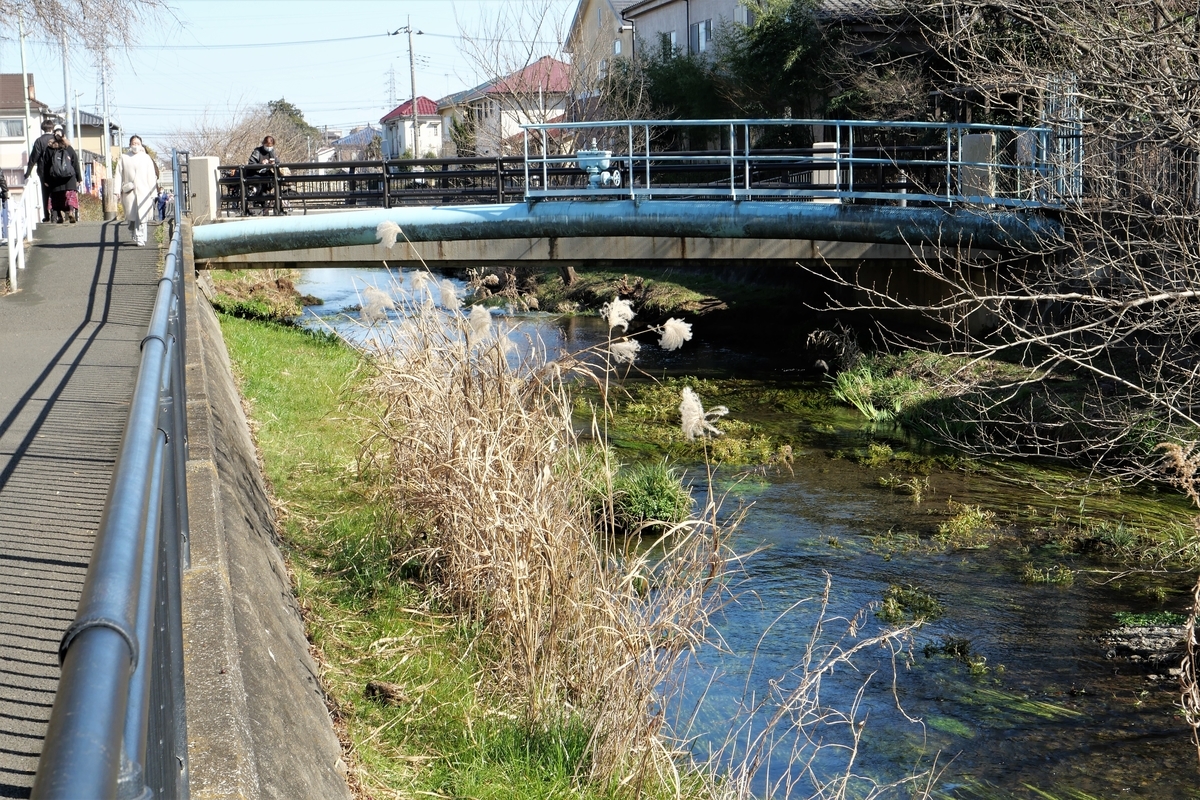 f:id:haikaiikite:20210206225052j:plain