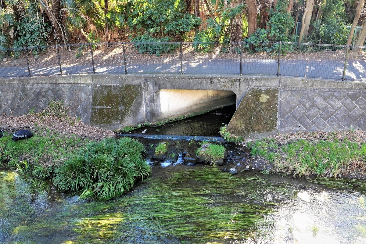 f:id:haikaiikite:20210206230921j:plain