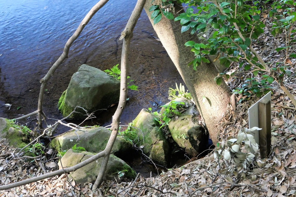 f:id:haikaiikite:20210207115906j:plain