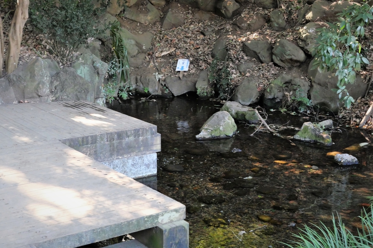 f:id:haikaiikite:20210207120100j:plain