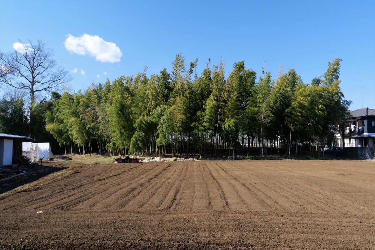 f:id:haikaiikite:20210207120406j:plain