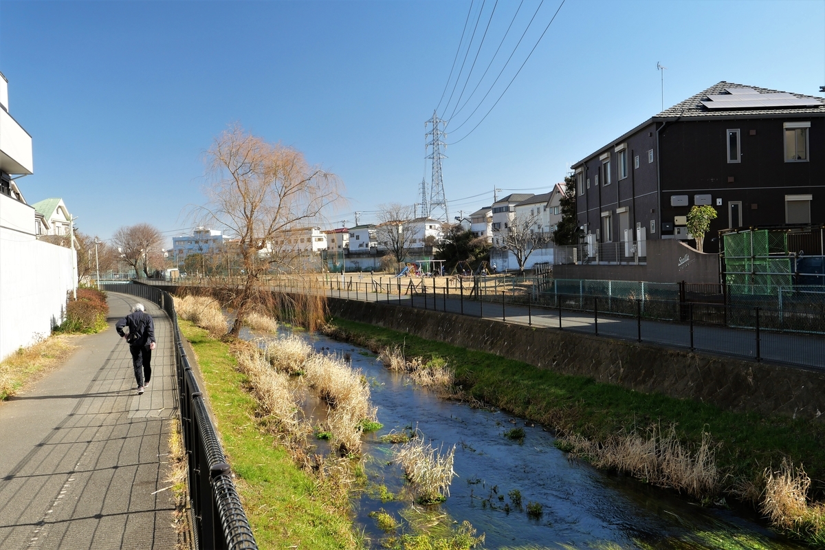 f:id:haikaiikite:20210207120625j:plain