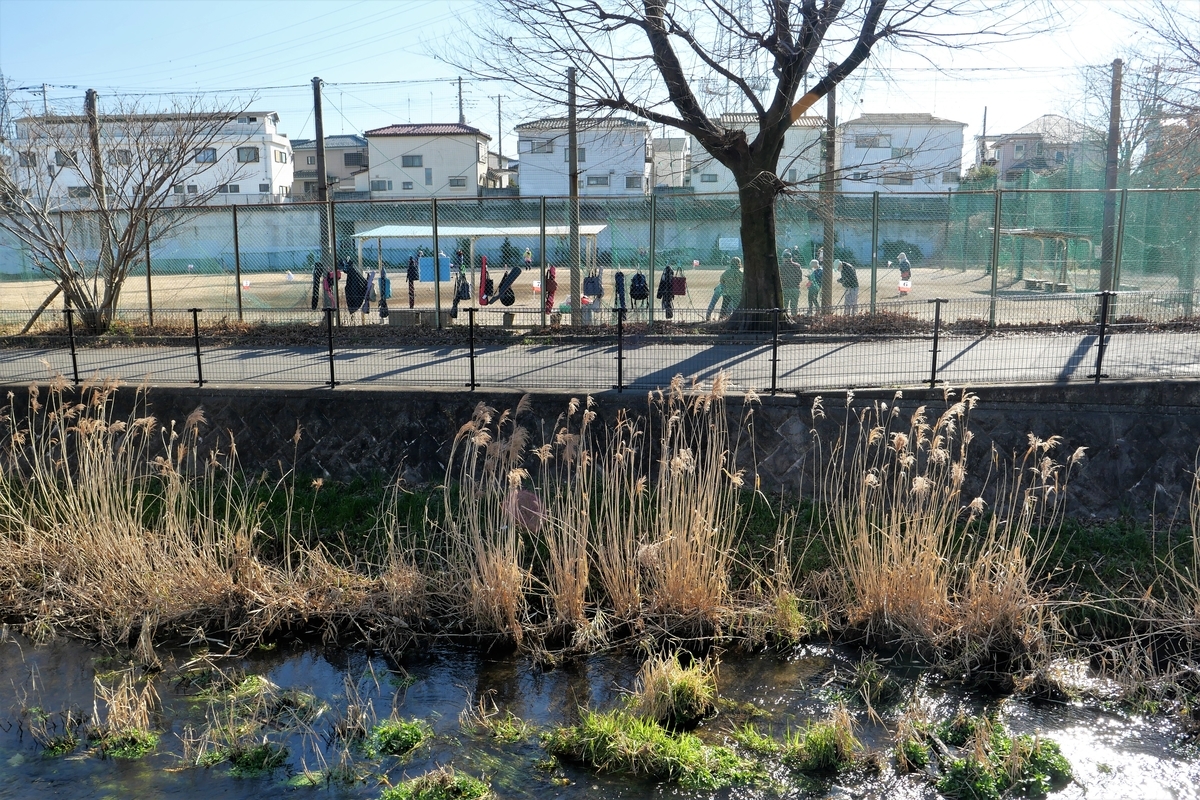 f:id:haikaiikite:20210207120810j:plain