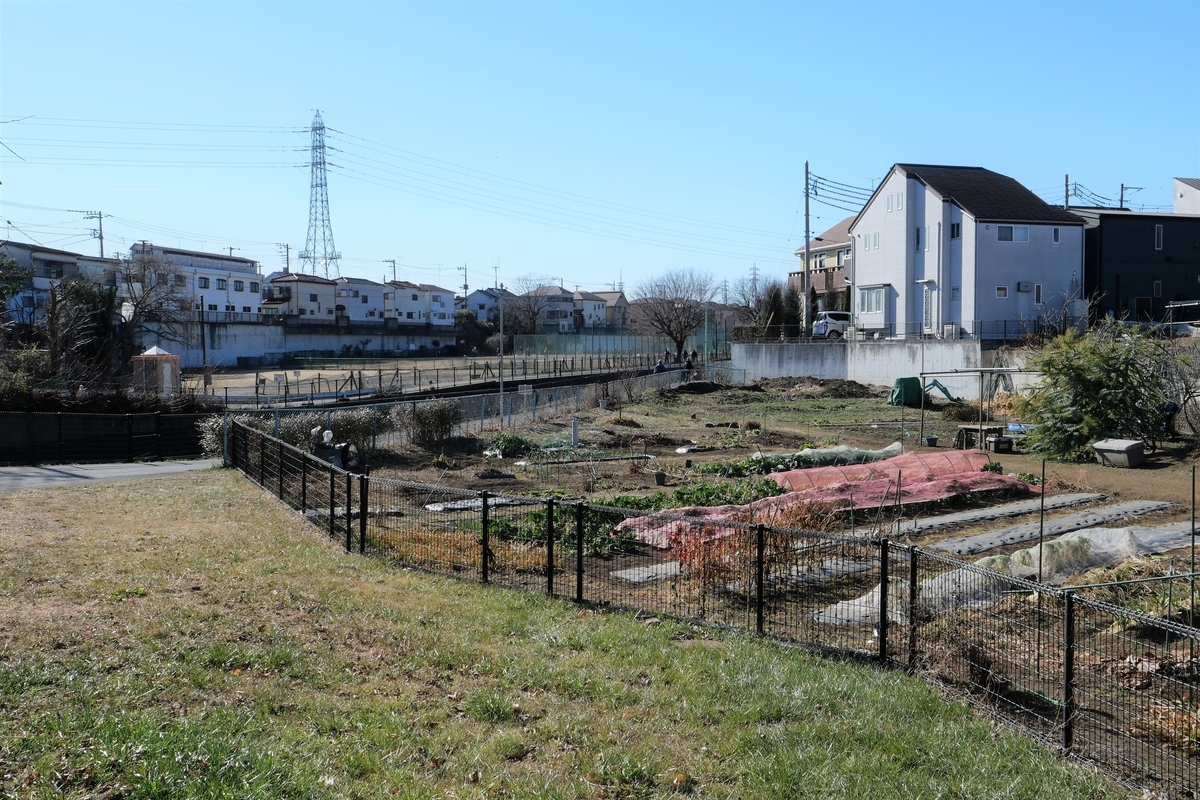 f:id:haikaiikite:20210207120932j:plain