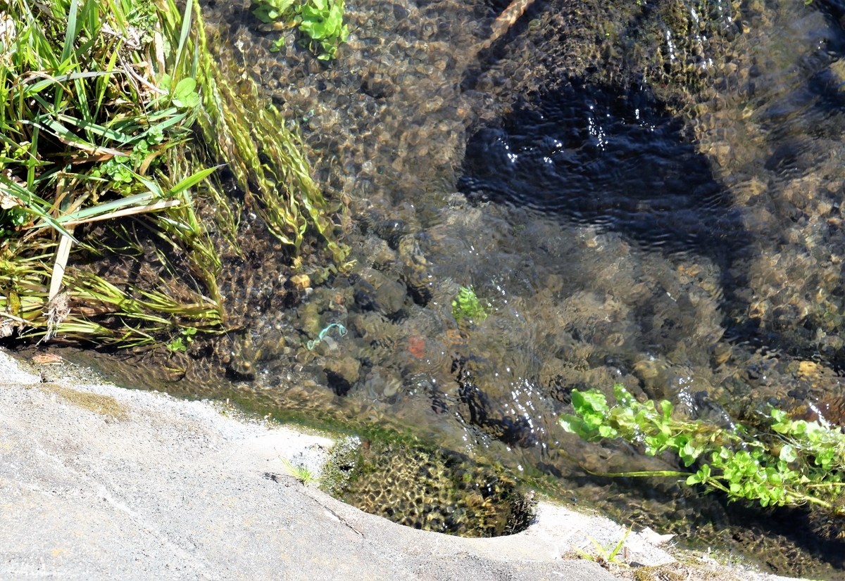 f:id:haikaiikite:20210207121249j:plain