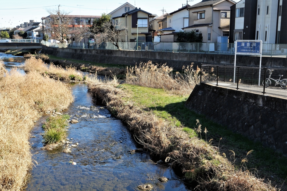 f:id:haikaiikite:20210207121908j:plain