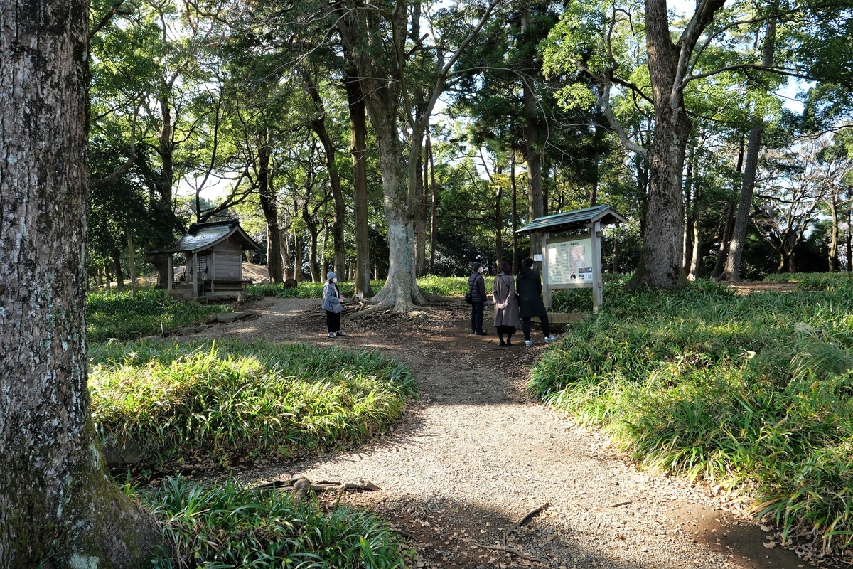 f:id:haikaiikite:20220101224906j:plain