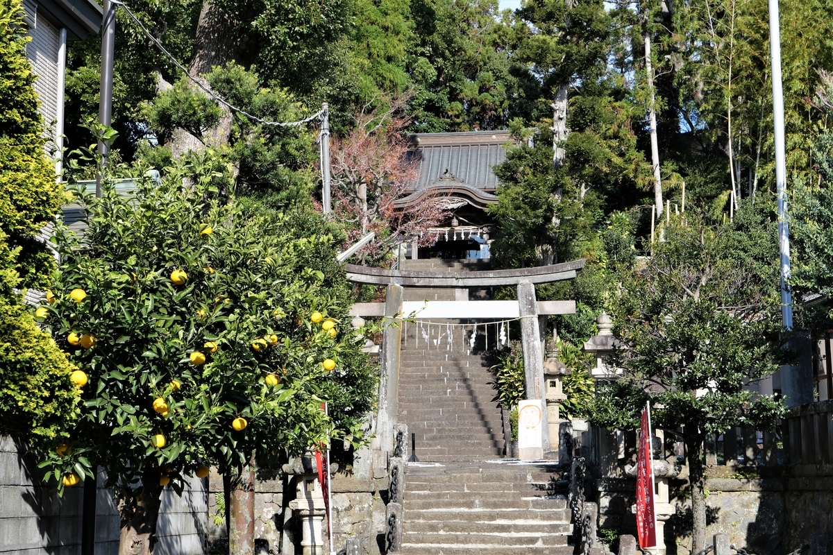 f:id:haikaiikite:20220102133836j:plain