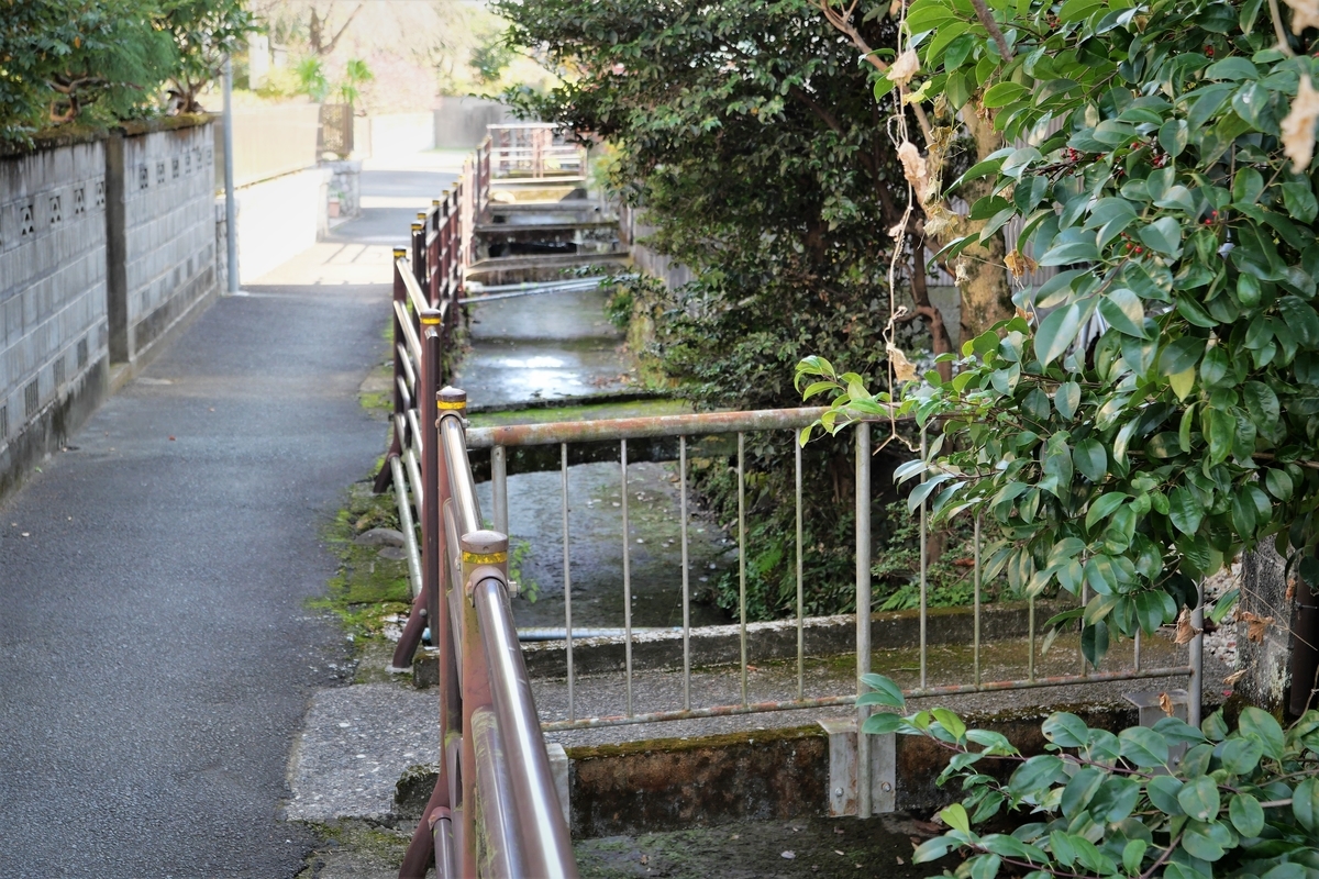 f:id:haikaiikite:20220102134051j:plain