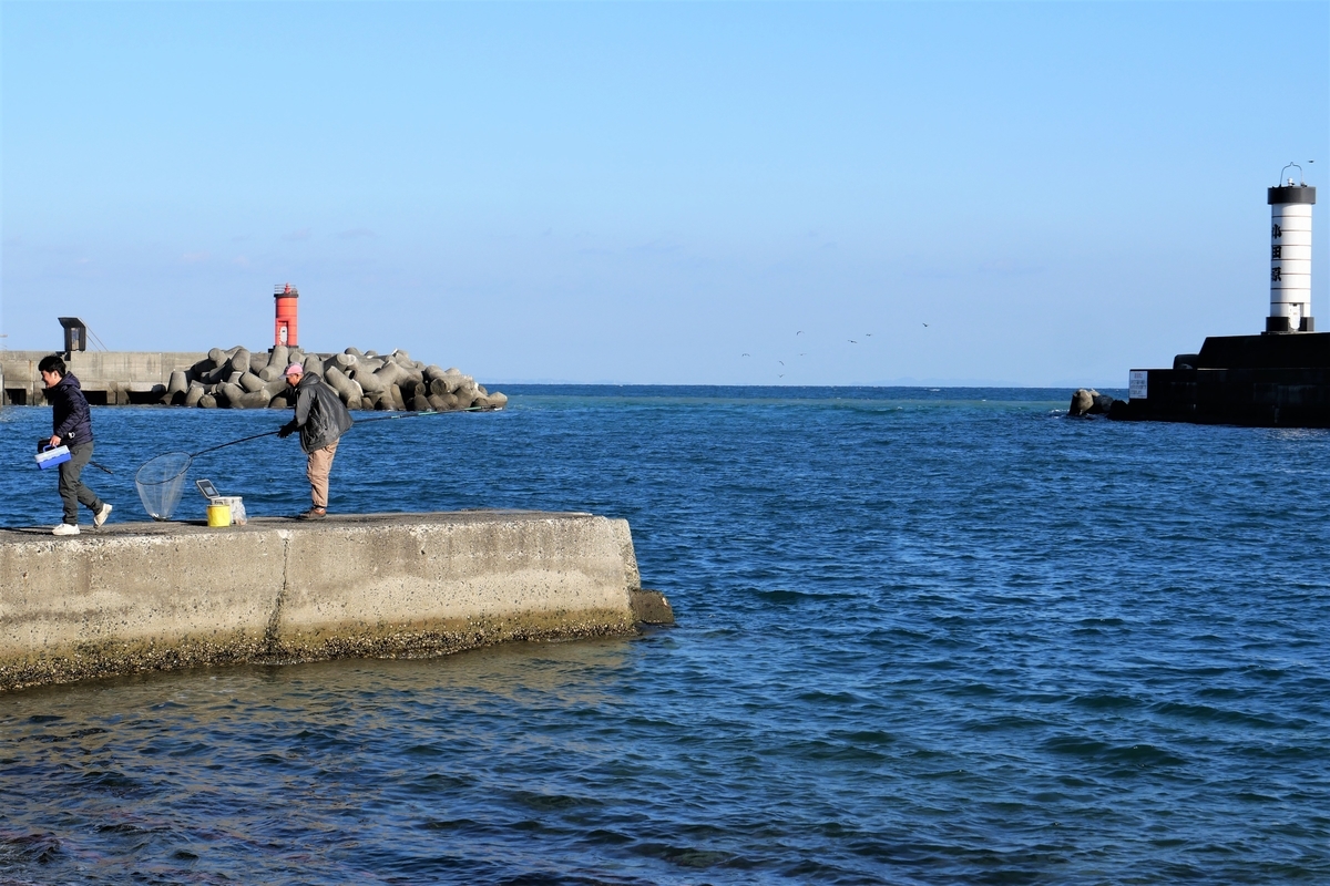 f:id:haikaiikite:20220102134315j:plain