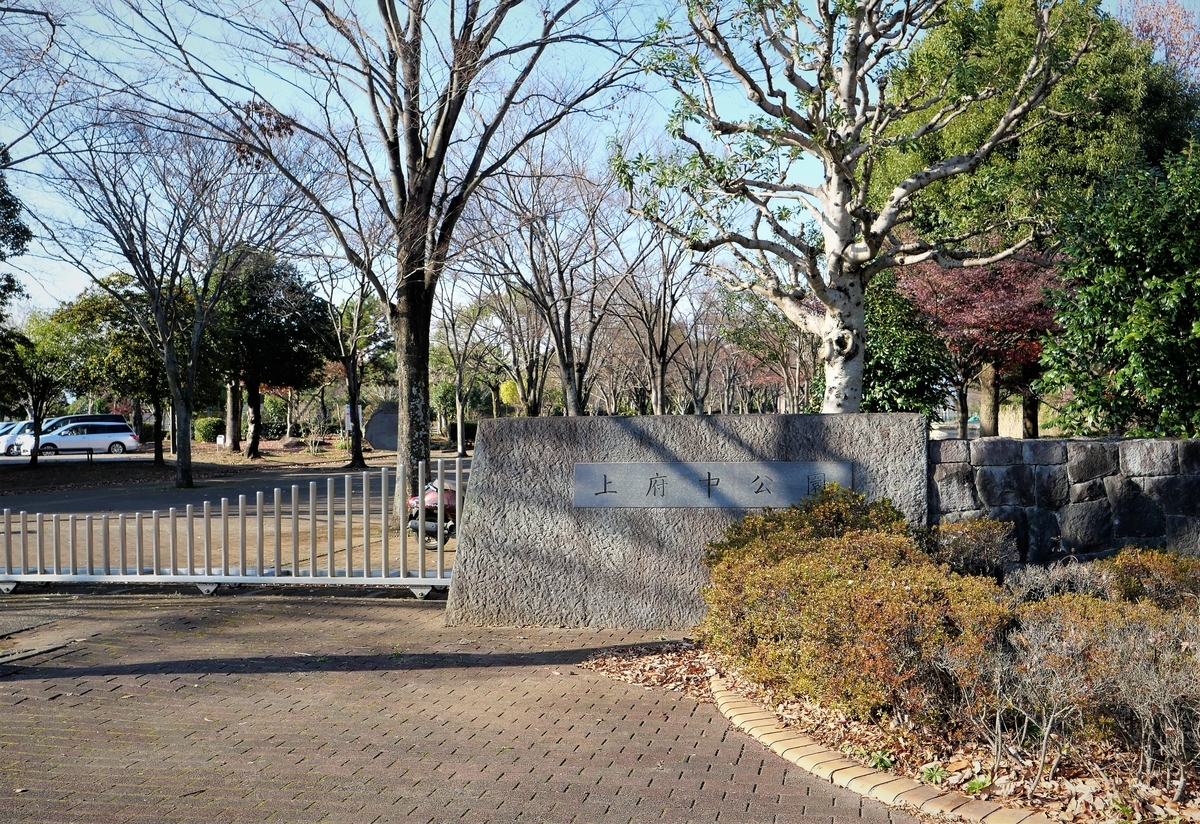 f:id:haikaiikite:20220102135451j:plain