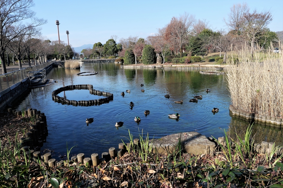 f:id:haikaiikite:20220102135556j:plain