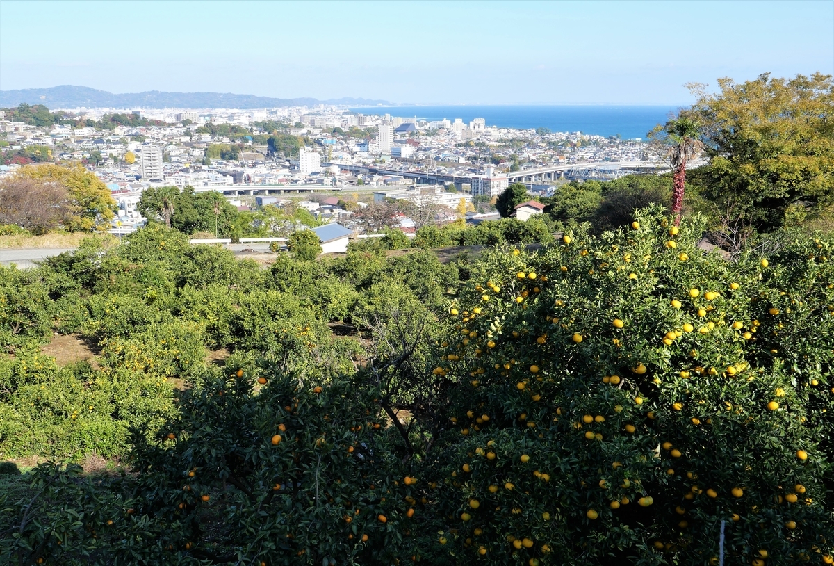 f:id:haikaiikite:20220102215625j:plain