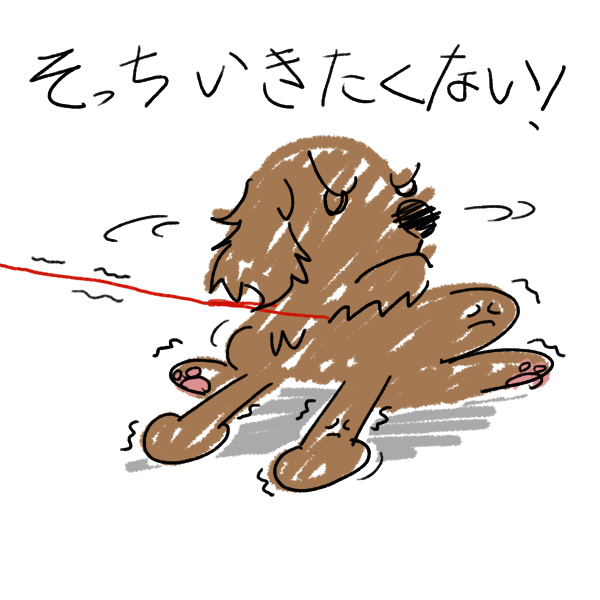 20111005200036