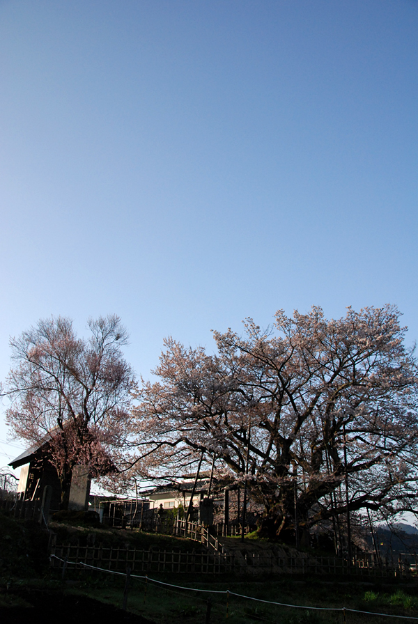 20120501231513