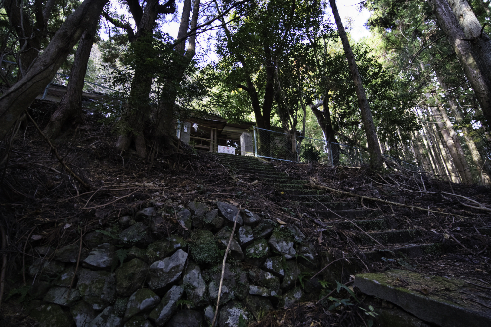 f:id:haikutu:20210129141513j:plain